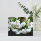 さくらんぼBLOSSOM ～はがき ポストカード (スタンド正面)