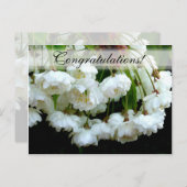 さくらんぼBLOSSOM ~はがき# 2 ポストカード (正面/裏面)