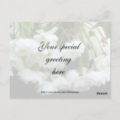 さくらんぼBLOSSOM ~はがき# 2 ポストカード (裏面)