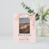 さくらんぼBlossom Save the Date Photo ポストカード (スタンド正面)