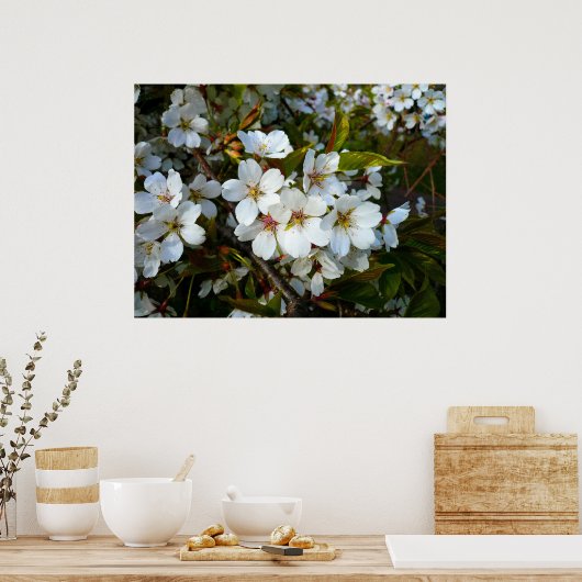 さくらんぼII ポスター (キッチン)