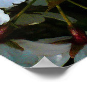 さくらんぼII ポスター (角)