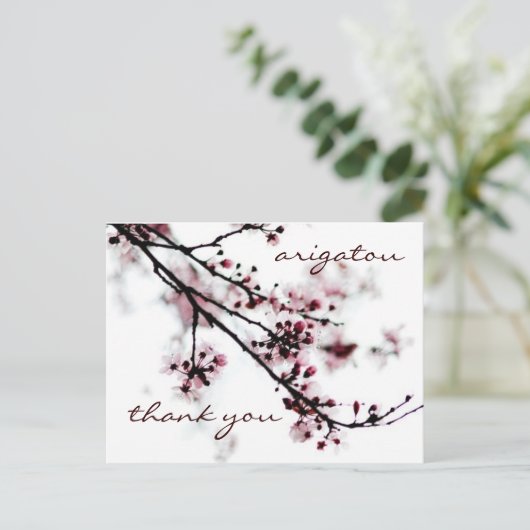 さくら感謝 ポストカード (スタンド正面)
