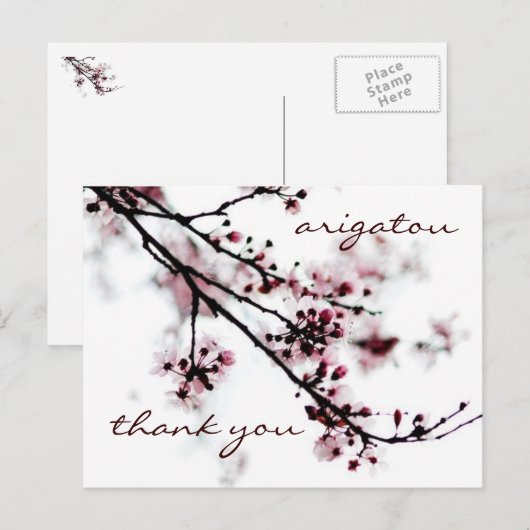 さくら感謝 ポストカード (正面/裏面)