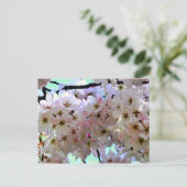 さくら花のポストカード ポストカード (スタンド正面)