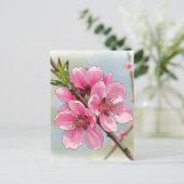 さくら チェリー ツリー 開花 ポストカード ポストクロッシング (スタンド正面)