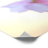 さくら ピンクと白の花 ポスター (角)