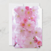 さくら ブライダルシャワー 招待状 (裏面)