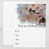 さくら 招待状 (正面/裏面)