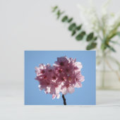 さくら：日本のポストカード ポストカード (スタンド正面)