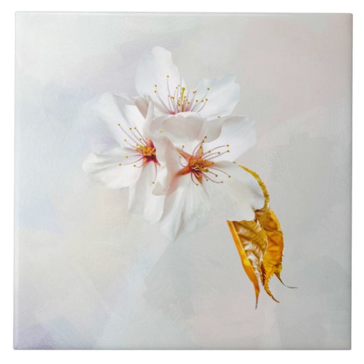 さくら - 日本の桜 タイル (正面)