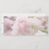 さくら • 日程お知らせ 招待状 (裏面)