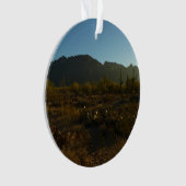 さぐあろサンライズさぐろ国立公園 オーナメント (正面)