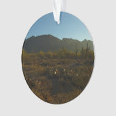 さぐあろサンライズさぐろ国立公園 オーナメント (正面)