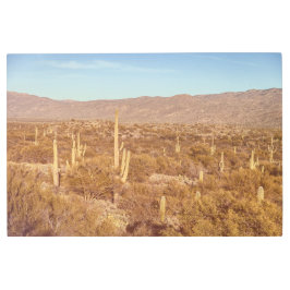 さぐあろ森 メタルプリント