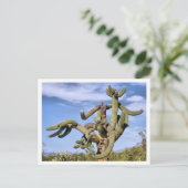 さぐろ怪獣 ポストカード (スタンド正面)