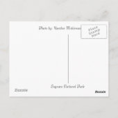 さぐろ葉書 ポストカード (裏面)