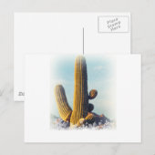 さぐろ雪 ポストカード (正面/裏面)