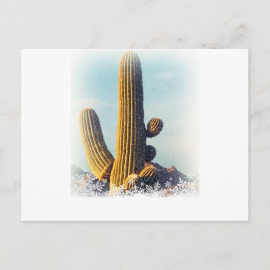 さぐろ雪 ポストカード (正面)