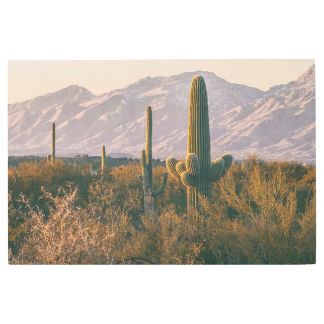 さぐろ風景 メタルプリント (正面)