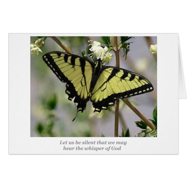 ささやきの蝶 (正面横)