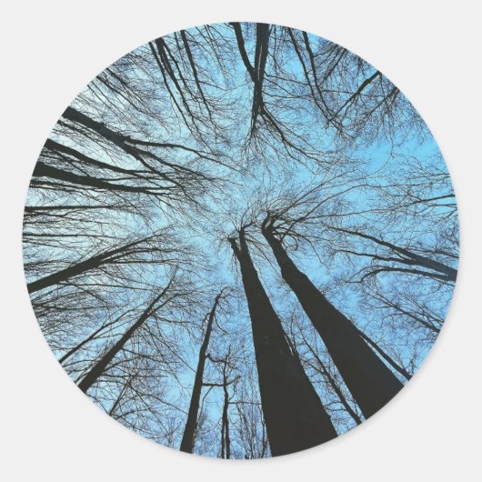 ささやき声 ラウンドシール (正面)