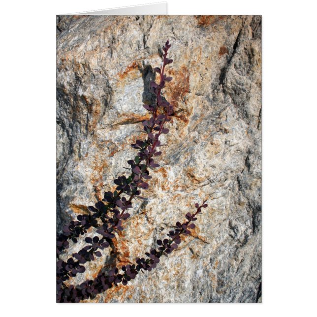 ささやき (正面)