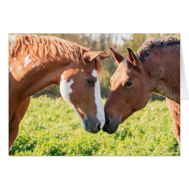 ささやき (正面横)
