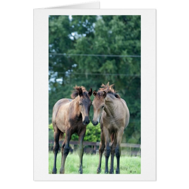 ささやくこと (正面)