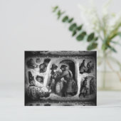 さざ波図解入りの、写真付きの警察のニュース ポストカード (スタンド正面)