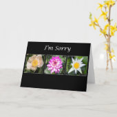 さすがだ牡丹、ダリア、蓮の植物学 カード (黄色い花)