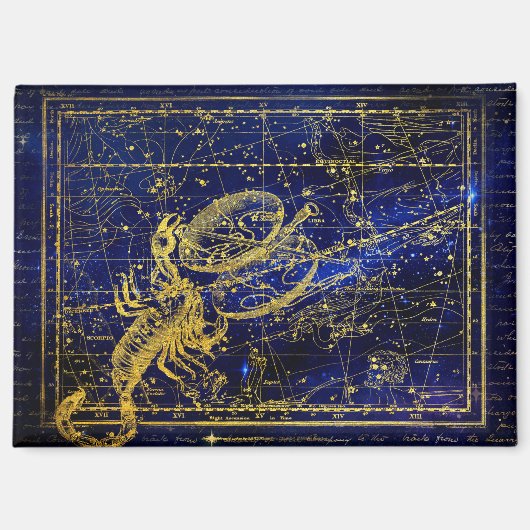 さそり座の星座マグネット マグネット (正面)