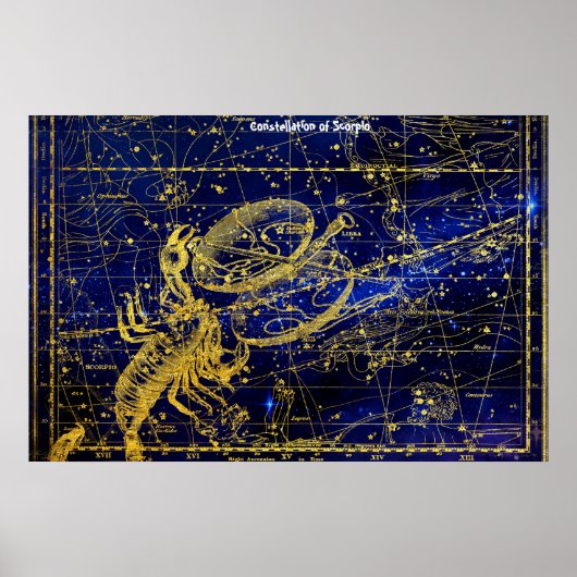 さそり座の星座 ポスター (正面)