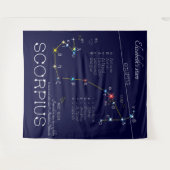 さそり座 タペストリー (正面(横))