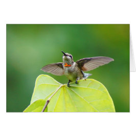 さっストップて！