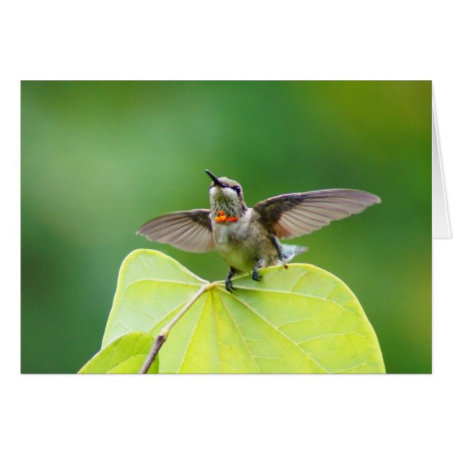 さっストップて！ (正面横)