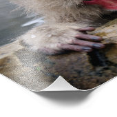 さびしい雪猿(長野県) フォトプリント (角)