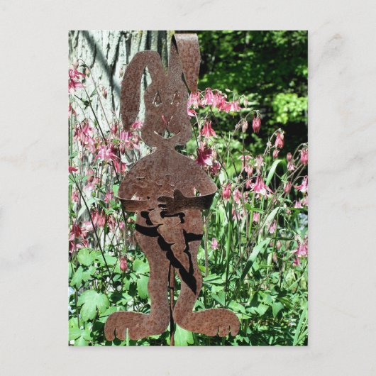 さびたウサギの花園写真 ポストカード (正面)