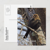 さびた黒鳥はがき ポストカード (正面/裏面)