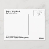 さびた黒鳥はがき ポストカード (裏面)