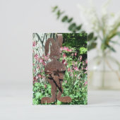 さびれたウサギの花園の写真 ポストカード (スタンド正面)