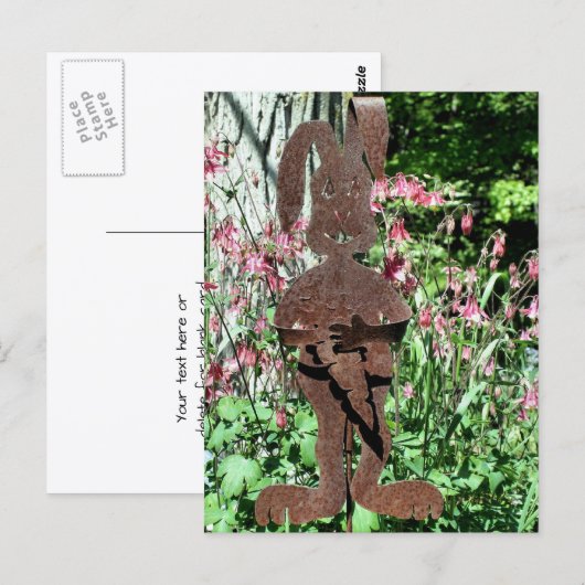 さびれたウサギの花園の写真 ポストカード (正面/裏面)