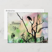 さび恋しく思いカラスの君だ ポストカード (正面/裏面)