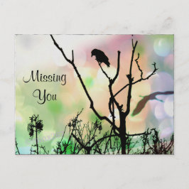 さび恋しく思いカラスの君だ ポストカード