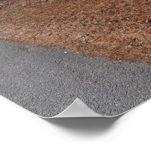 さび ポスター (角)