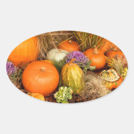 さまざまなカボチャ 楕円形シール