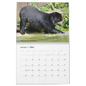 さまざまなクマのカレンダー カレンダー (1月 2026)