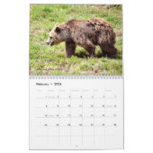 さまざまなクマ12ヶ月カレンダー カレンダー (2月 2026)