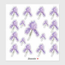 さまざまなサイズの紫色の髭の虹彩