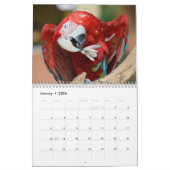 さまざまなパロットカレンダー カレンダー (1月 2026)